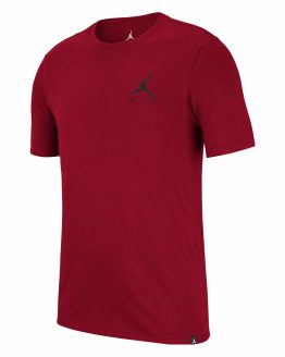 Jordan Air Embroidered Tee