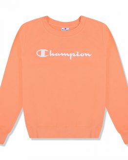 Champion Crewneck Sweatshirt Champion Crewneck Sweatshirt