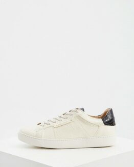 Кеды AllSaints