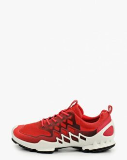 Кроссовки Ecco ECCO BIOM AEX