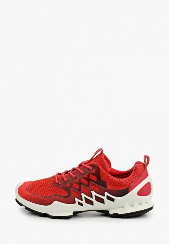 Кроссовки Ecco ECCO BIOM AEX