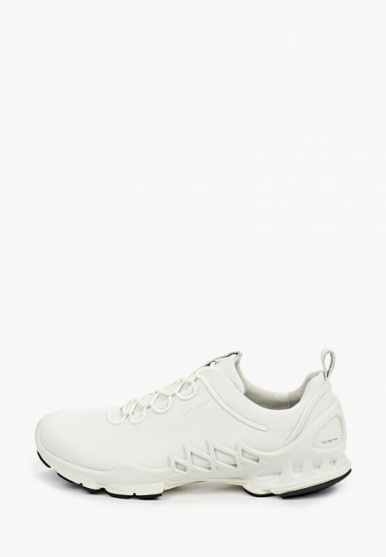Кроссовки Ecco ECCO BIOM AEX M