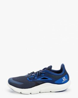 Кроссовки Salomon PREDICT MOD Кроссовки Salomon PREDICT MOD