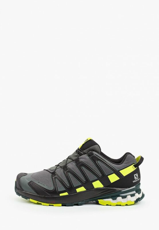 Кроссовки Salomon XA PRO 3D v8 GTX