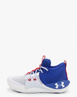 Кроссовки Under Armour UA Embiid 1